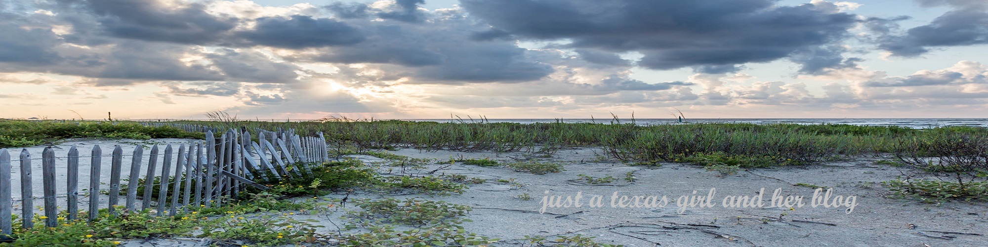 just a texas girl and her blog